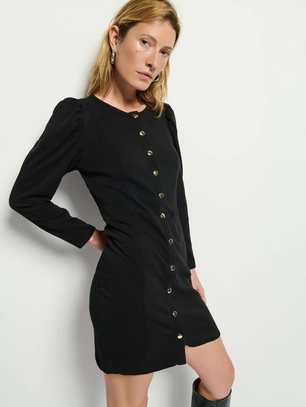 the RAE placket dress