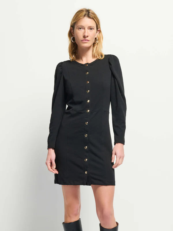 the RAE placket dress