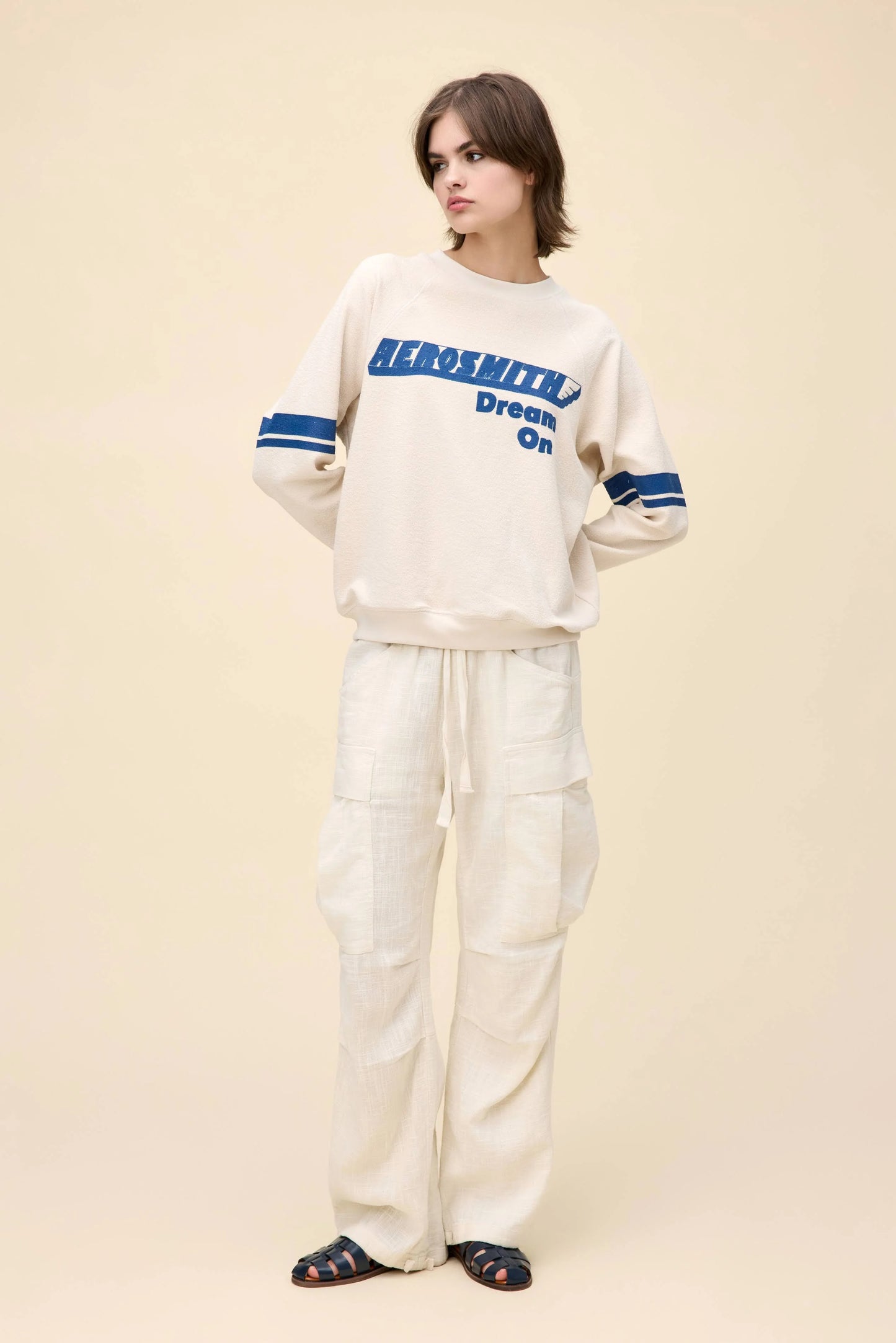 the AEROSMITH dream on - reversible