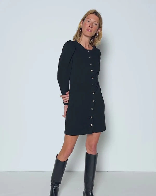 the RAE placket dress