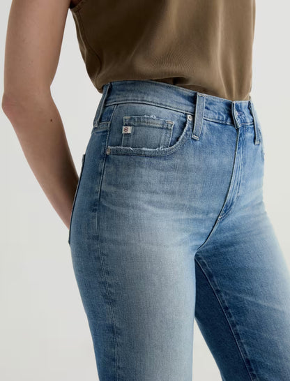 the BRINLEY crop, 13Y Palermo