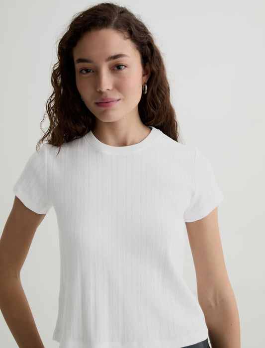 the SADIE crew, ivory