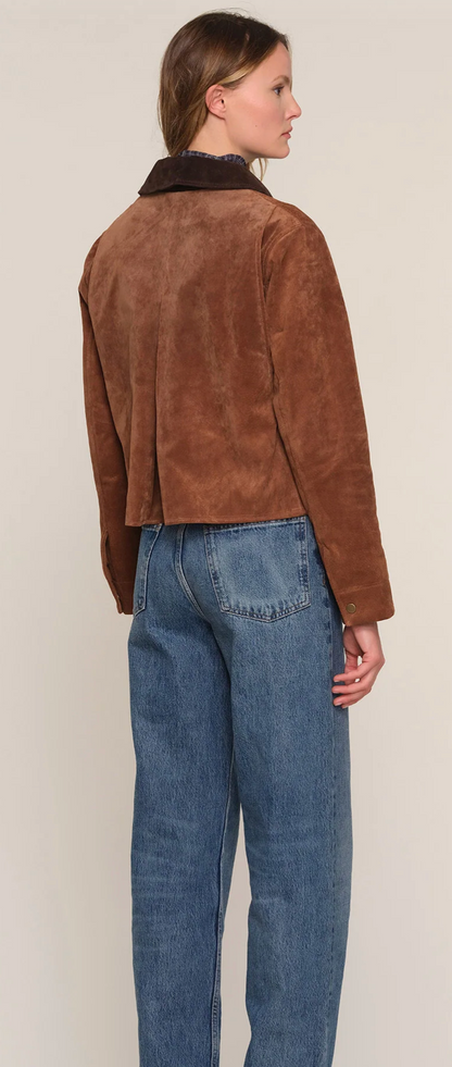 the LOBELIA suede jacket