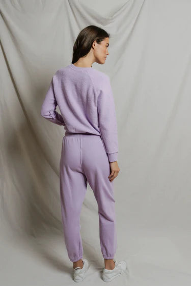 the ZIGGY, ultraviolet