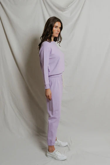the ZIGGY, ultraviolet